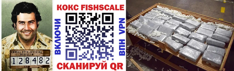 COCAIN FishScale  Сурск 