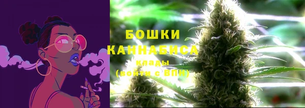 гидропоника Кодинск