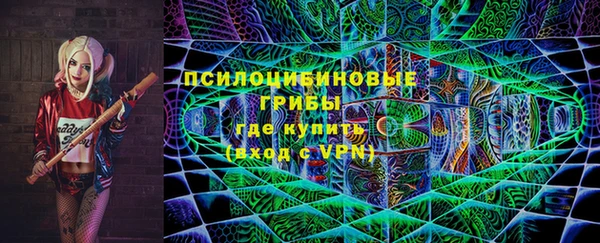индика Киреевск